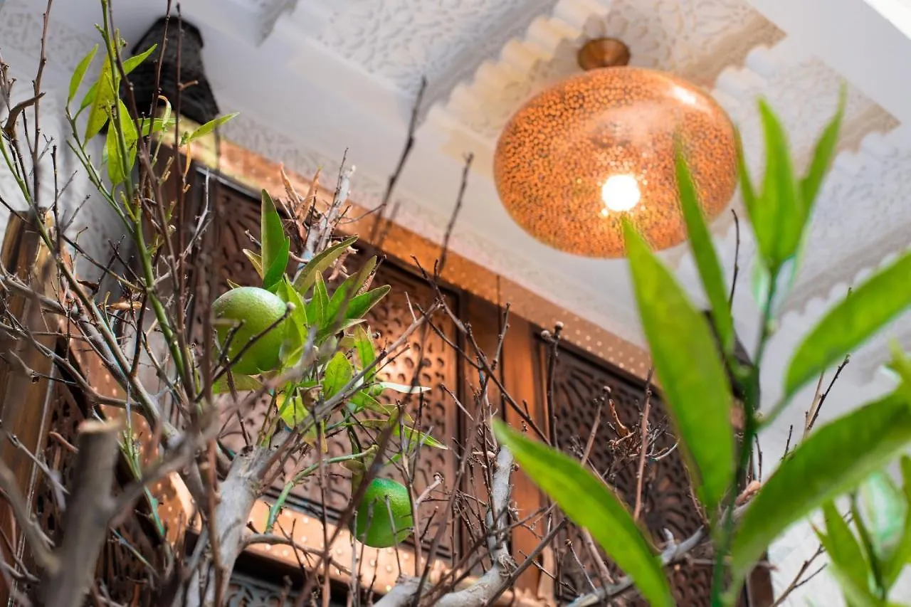 Riad La Vie Marrakesh Hotel